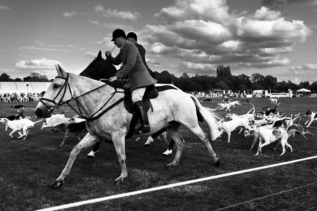 a group of people riding horses on a field