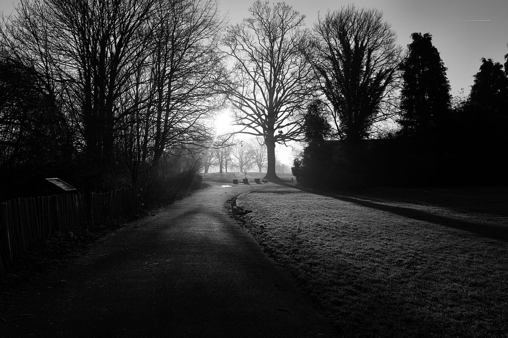 a path with trees and a building in the background on a winters morning