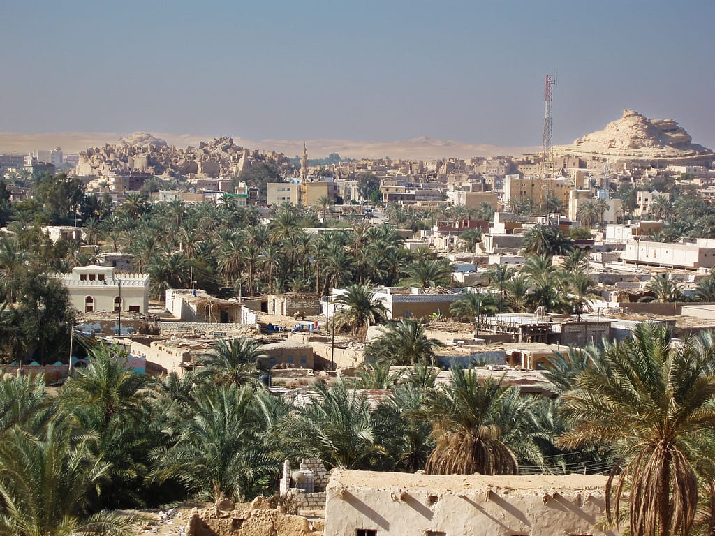 a city with palm trees in the desert Egypt Eclipse Tour
