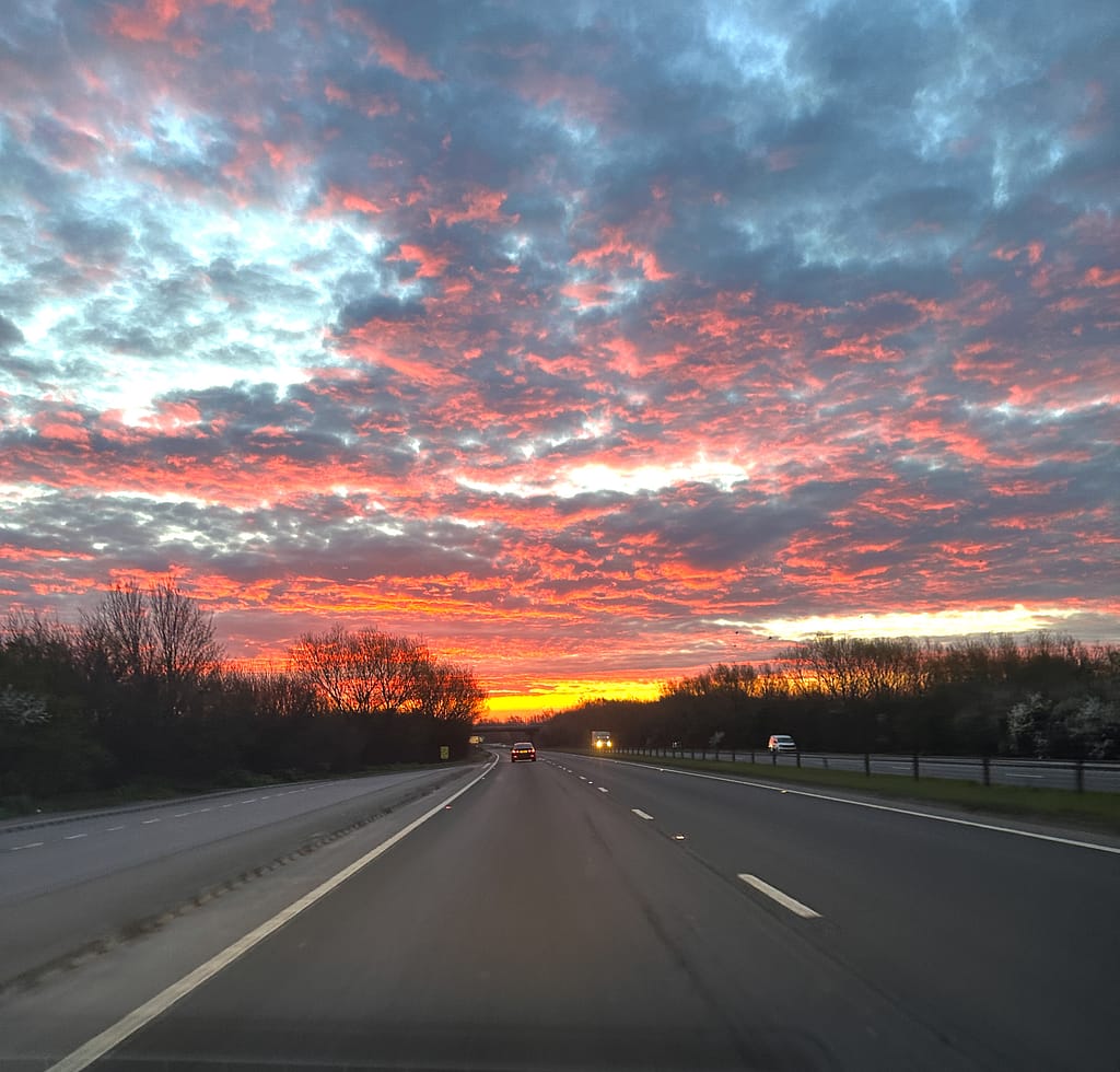 a road with trees and a sunset